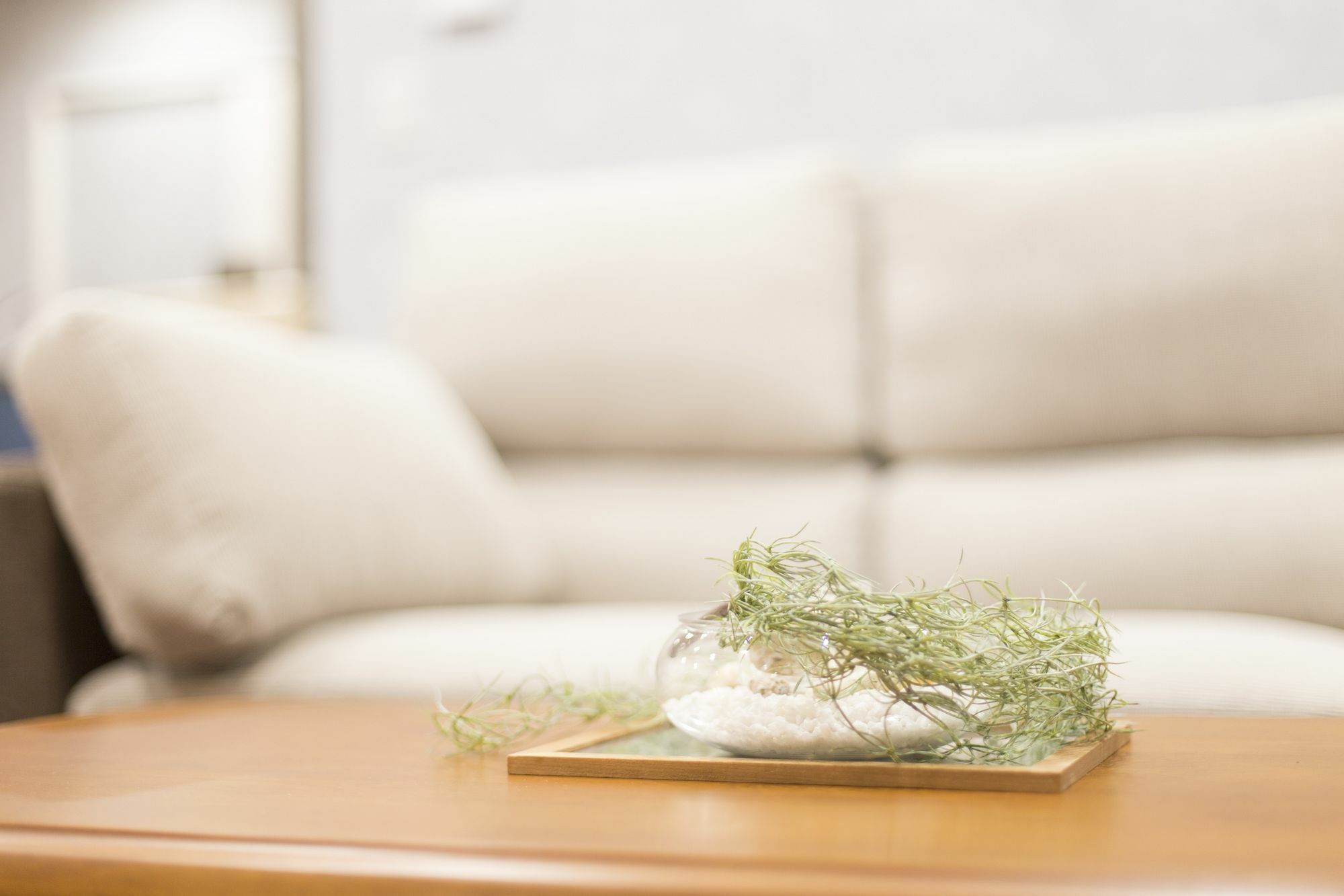 Suite Villa Yagaji Nago Exteriér fotografie